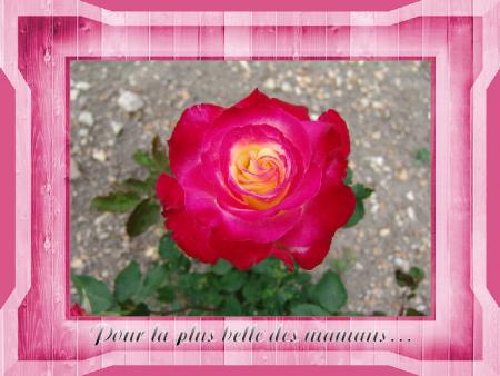 un floeur